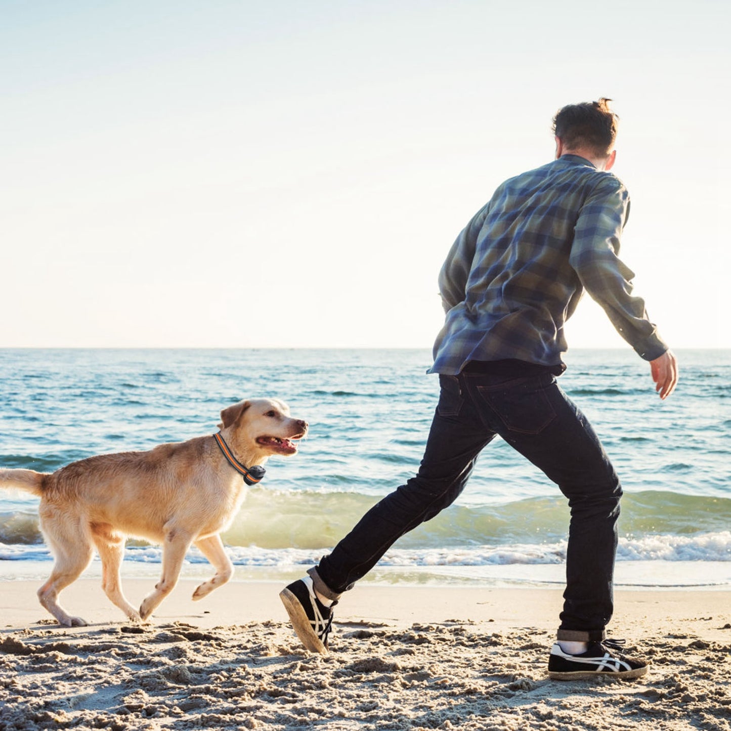 Smart dog safety alert collar — helps prevent your dog from leaving safe zones